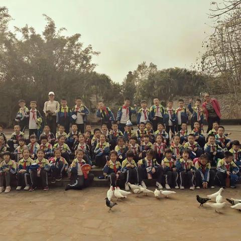 亲近大自然，与春天同行——海口市第二十五小学二六班春游