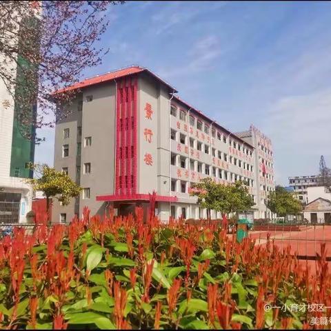 【一小育才】阳光下飞扬—2020——2021学年下期心理健康教育总结