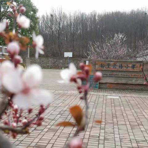 把你的成长放在我的心中——郝堂小学疫情心理疏导