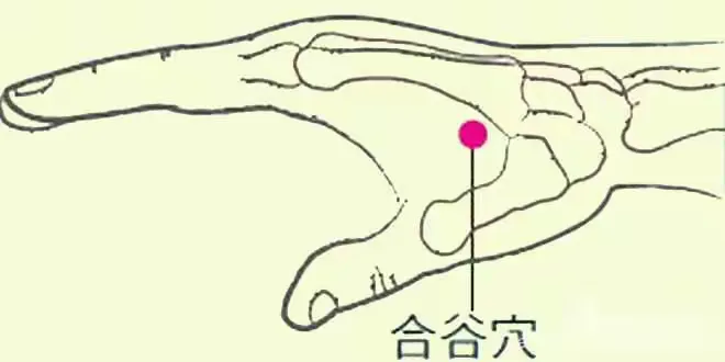 神灸时空—口面合谷收之保健养生