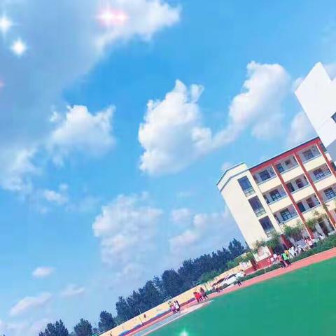 坚守，一路芬芳—张炉集镇张北第一小学第十八周工作纪实