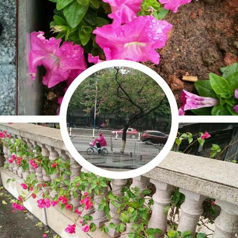 聚焦开放型课堂实践探索――第十三届小学数学教学改革观摩交流记