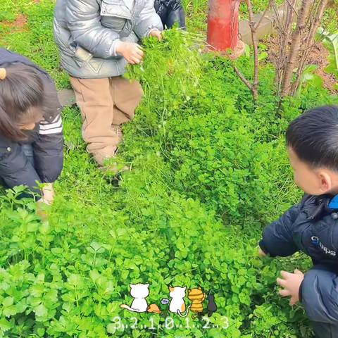 阳春三月，鸟语花香。