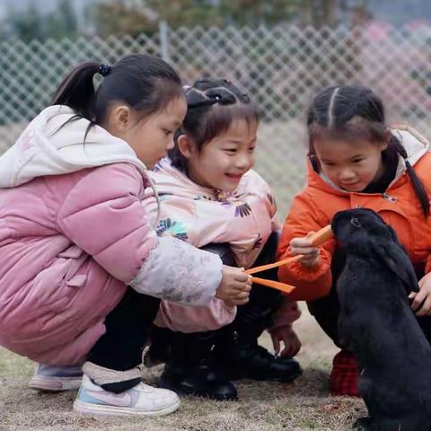 上栗镇新建小学附属幼儿园招生简章