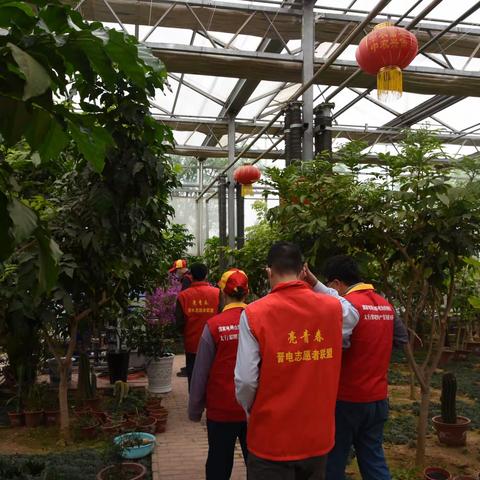 国网保德县供电公司：激活党建动能 助力乡村振兴