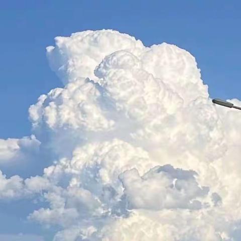 黄力行长赴翠微路支行进行“送清凉下基层”慰问活动