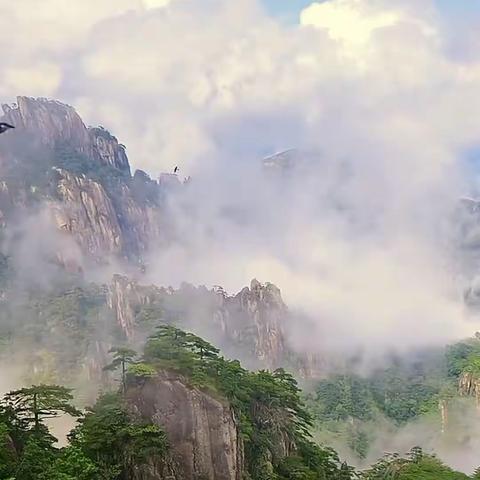 雨后黄山