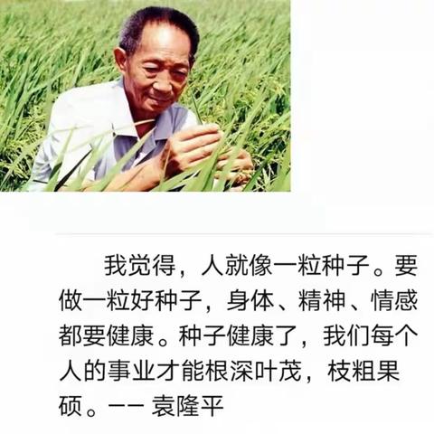 教师成长—-做一颗好的种子                             ——赴洛阳学习之第三天