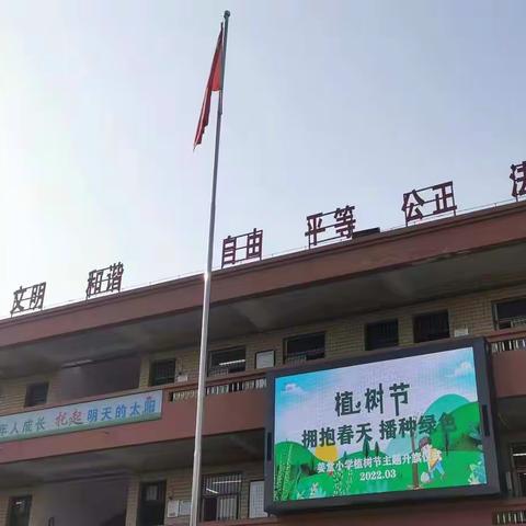 拥抱春天 播种绿色
