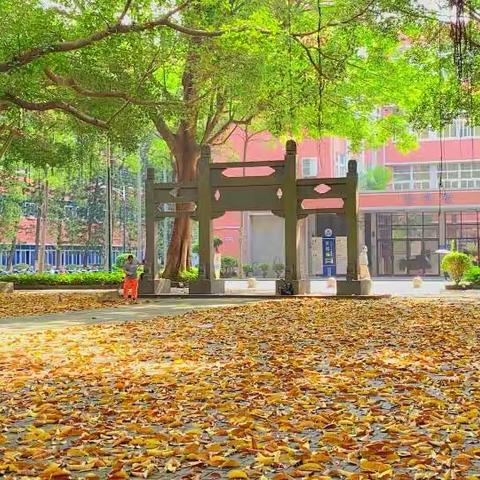 五月缤纷岭师聚，全员轮训助提高——记2022年湛江市初中班主任能力提升培训第一天
