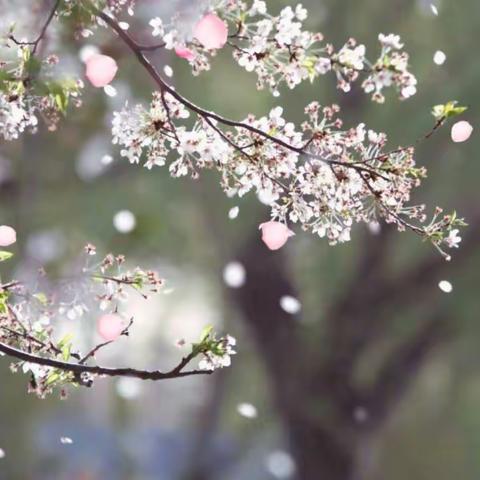 【二幼温馨提示】——幼儿春季传染病的预防