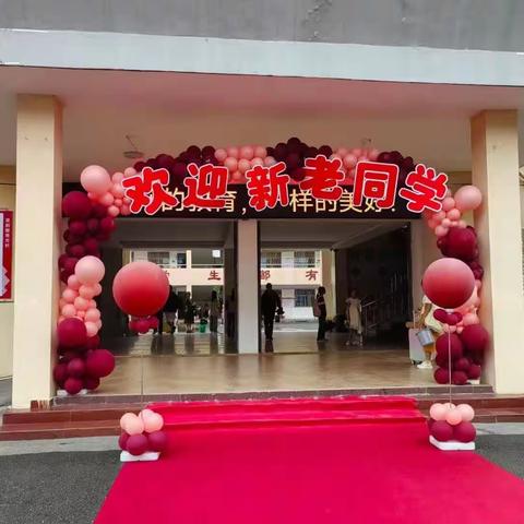 你好，一年级！