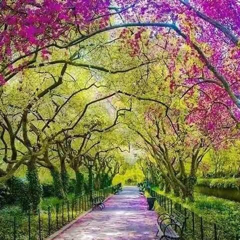 班主任基本功大赛心路历程