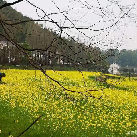 再读哈姆莱特的经典独白