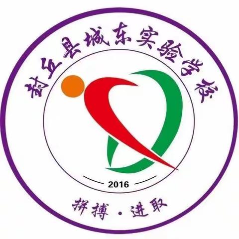 青衿之志，履践致远——城东实验学校中考捷报频传