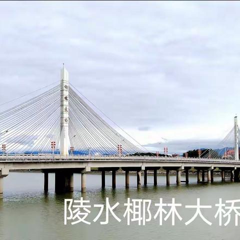 徒步椰林大桥北西一侧2022.12.16