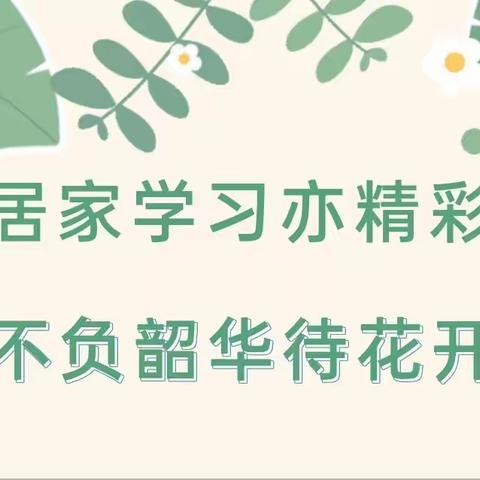 居家学习亦精彩  不负韶华待花开