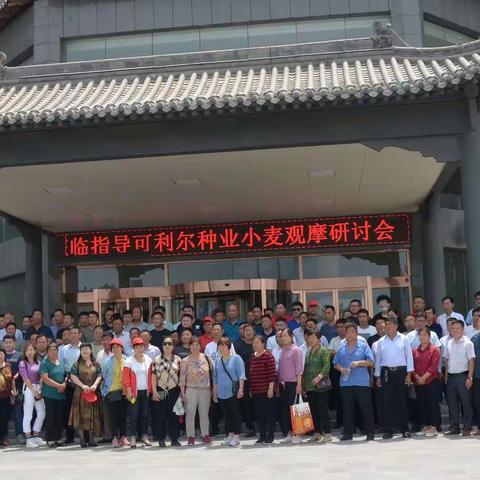 河北可利尔种业小麦观摩研讨会