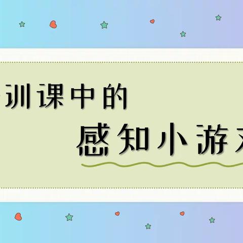 【认知理解】个训课感知觉小游戏