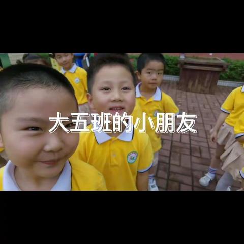 实验幼儿园大五班