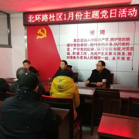 北环路社区1月份主题党日活动