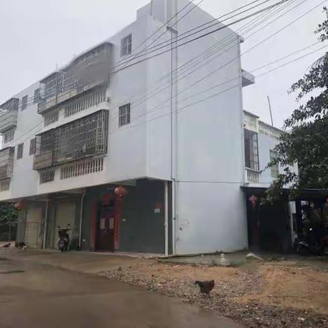 区人社局到海罗村继续开展人居环境卫生整治工作简报（6月16日）
