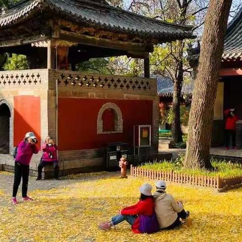 千 年 古 刹 醉 游 人