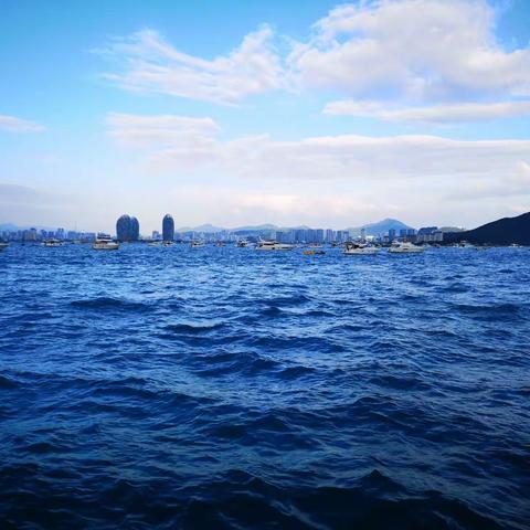 风景这边独好