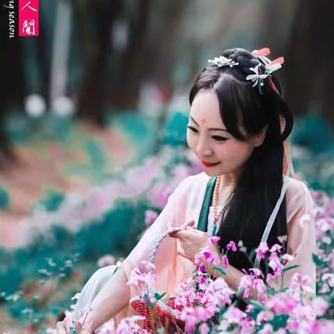 沈阳同城～这一年的那些花