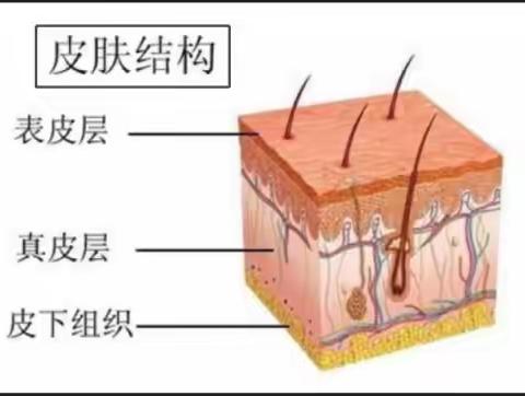 一般皮肤受伤到什么程度才会留疤？