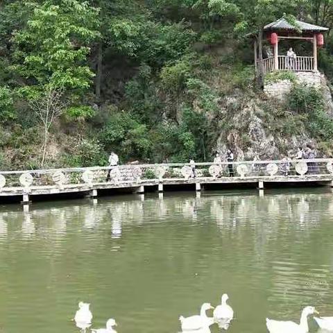 学习《柞水县进一步深化课堂教学改革八条指导意见》心得体会