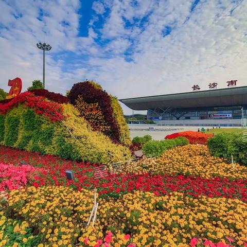 迷茫的清明，难忘的乡情