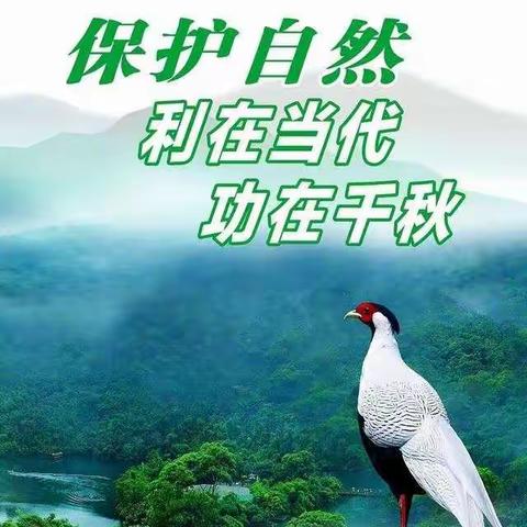 文明健康  有你有我