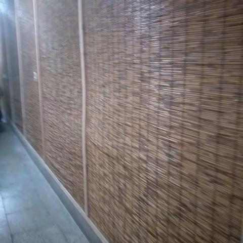 我的2017（学校篇）