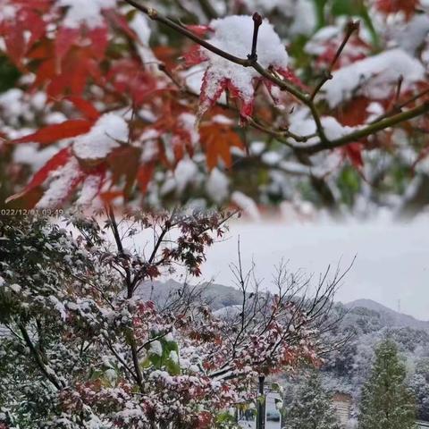 雪中的大清谷