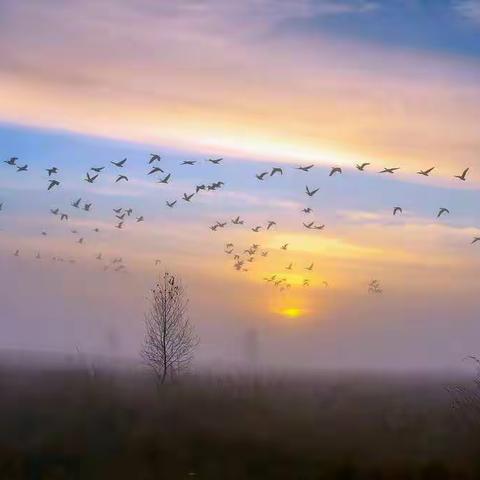 【风·雅轩】 季节 <文/姚義>