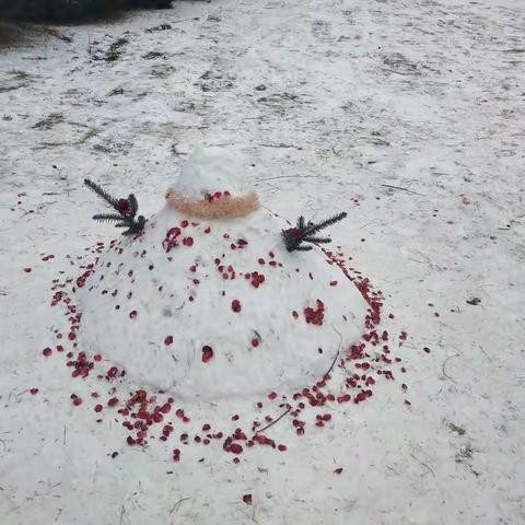 雪趣