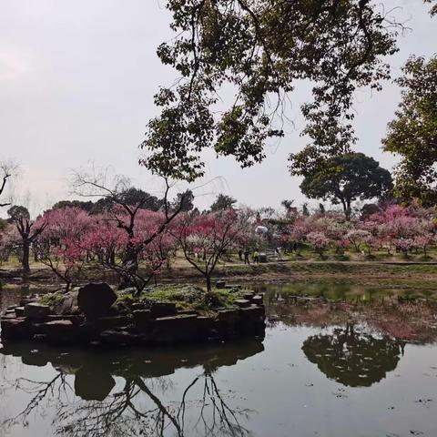 梅花香自苦寒来