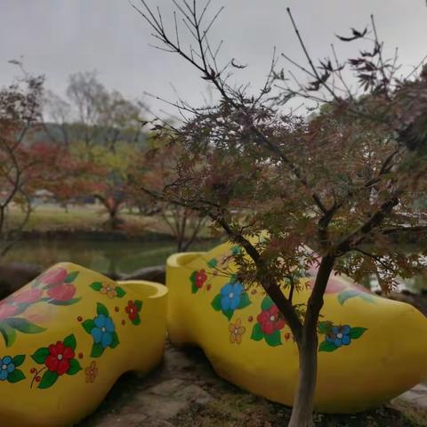 留住无锡秋色 迎接初冬暖阳