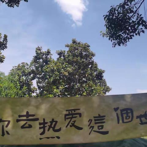 陪你去热爱这个世界