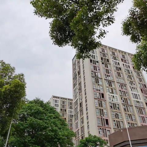 工作室楼下，伯渎港徒步随拍