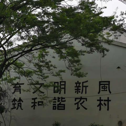 修好这颗心～在安镇旅游中