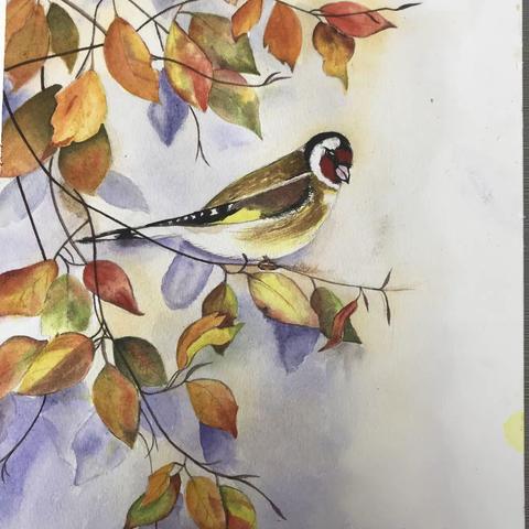 lyp的美篇（副本）