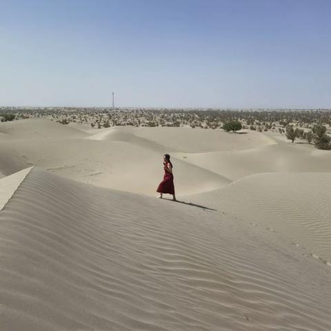 穿越塔克拉玛干沙漠（2021.6.9）