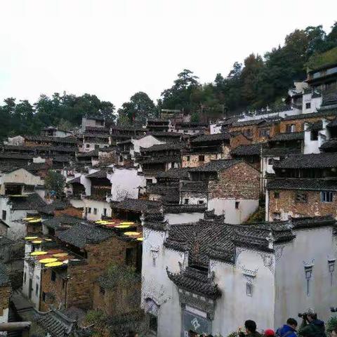 这是一次美食美景的饕餮盛宴！九华山塔川宏村篁岭醉温泉！臭鳜鱼毛豆腐盱眙龙虾荷包红鲤交警驴！