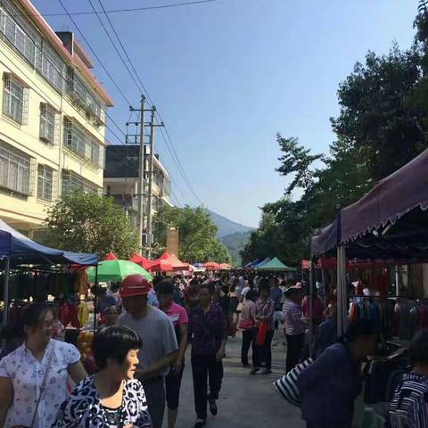 八月十二的茶滩该