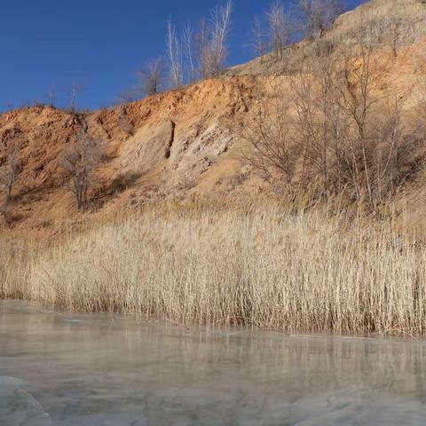 兔年冰场见吉祥