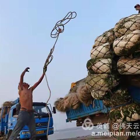 拾影千山万水街头巷尾之（六）黄海边的赶海人与摄影人