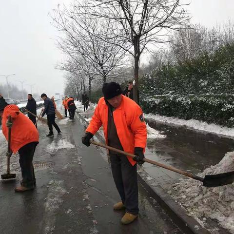 大雪过后 净出一城干爽