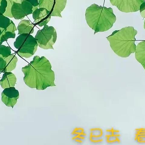 冬已去，春已至